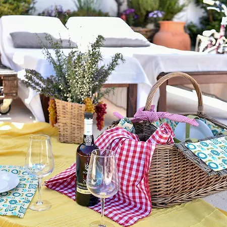 Casa Douro Janja Armamar