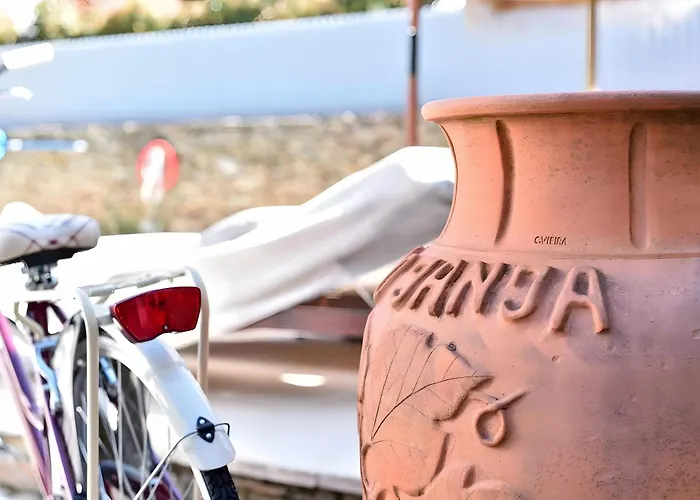 Casa Douro Janja * Armamar