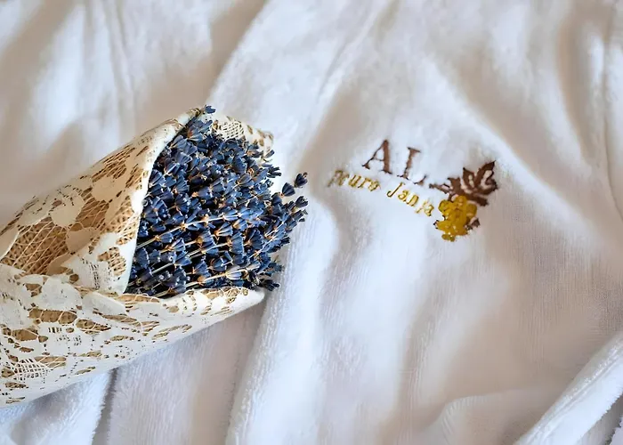 Semesterbostad Casa Douro Janja